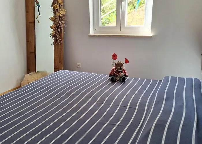 Appartement Naturalia